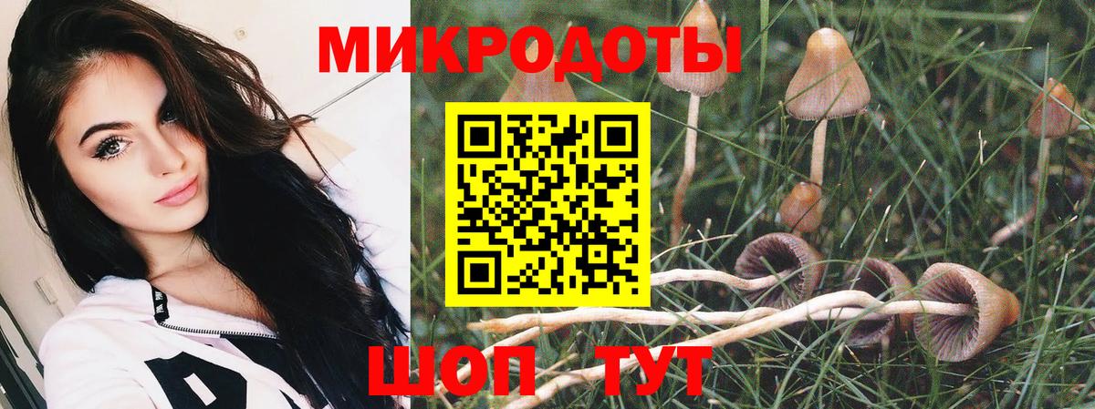 Псилоцибиновые грибы мицелий  Вход с VPN  Псилоцибиновые грибы мицелий  Шатура 